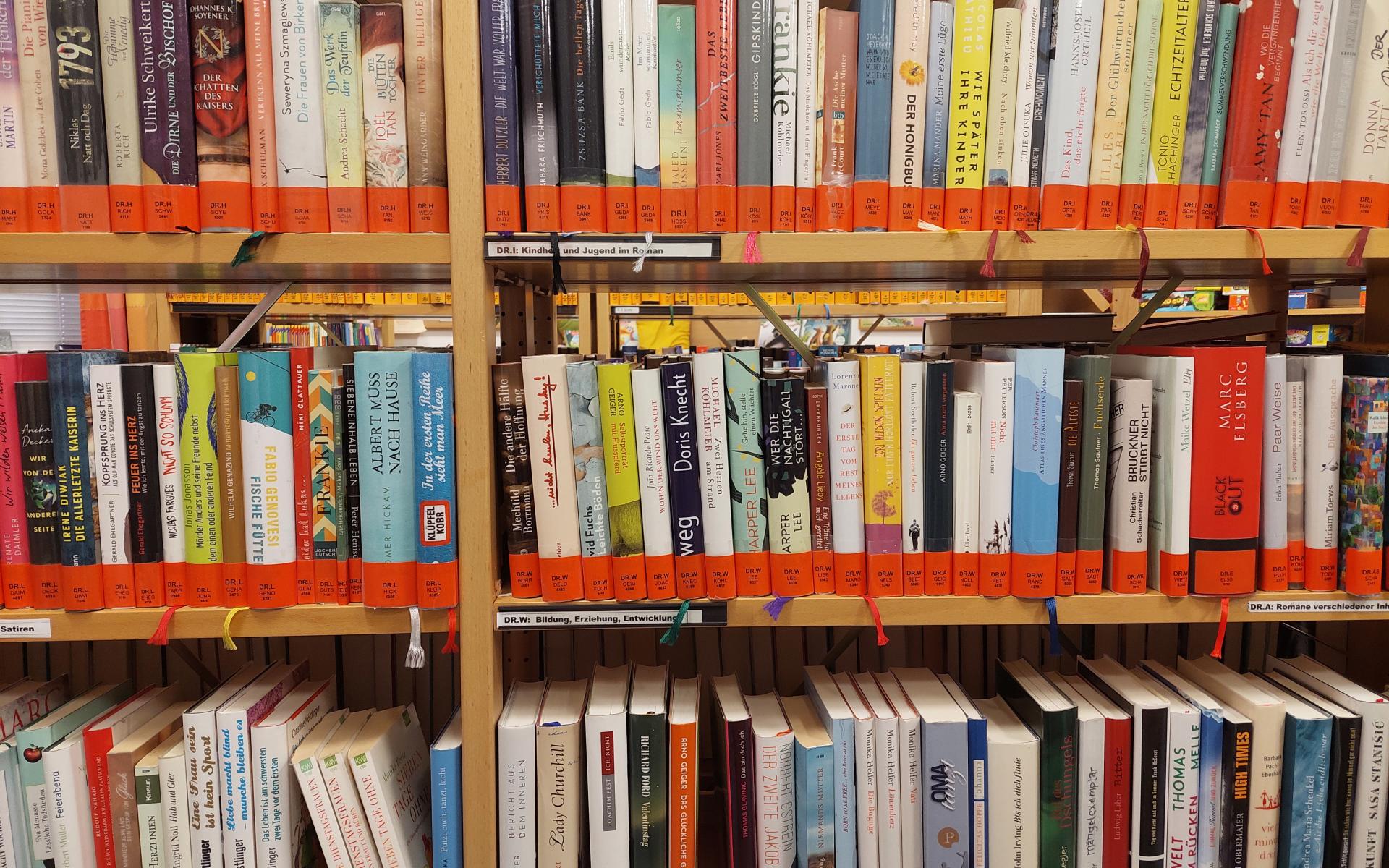 Büchereiregal